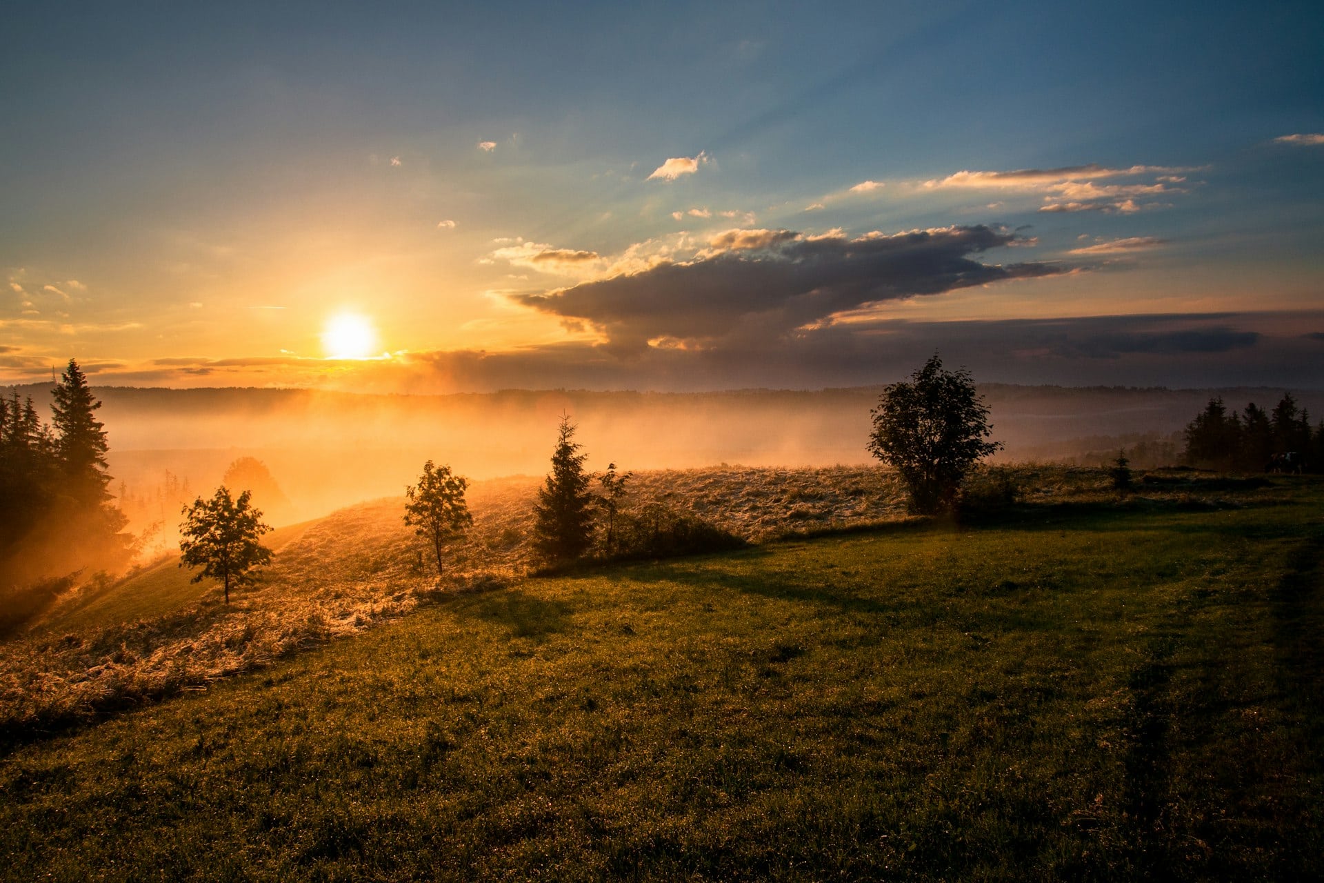 Warmes Abendlicht über einem Feld
