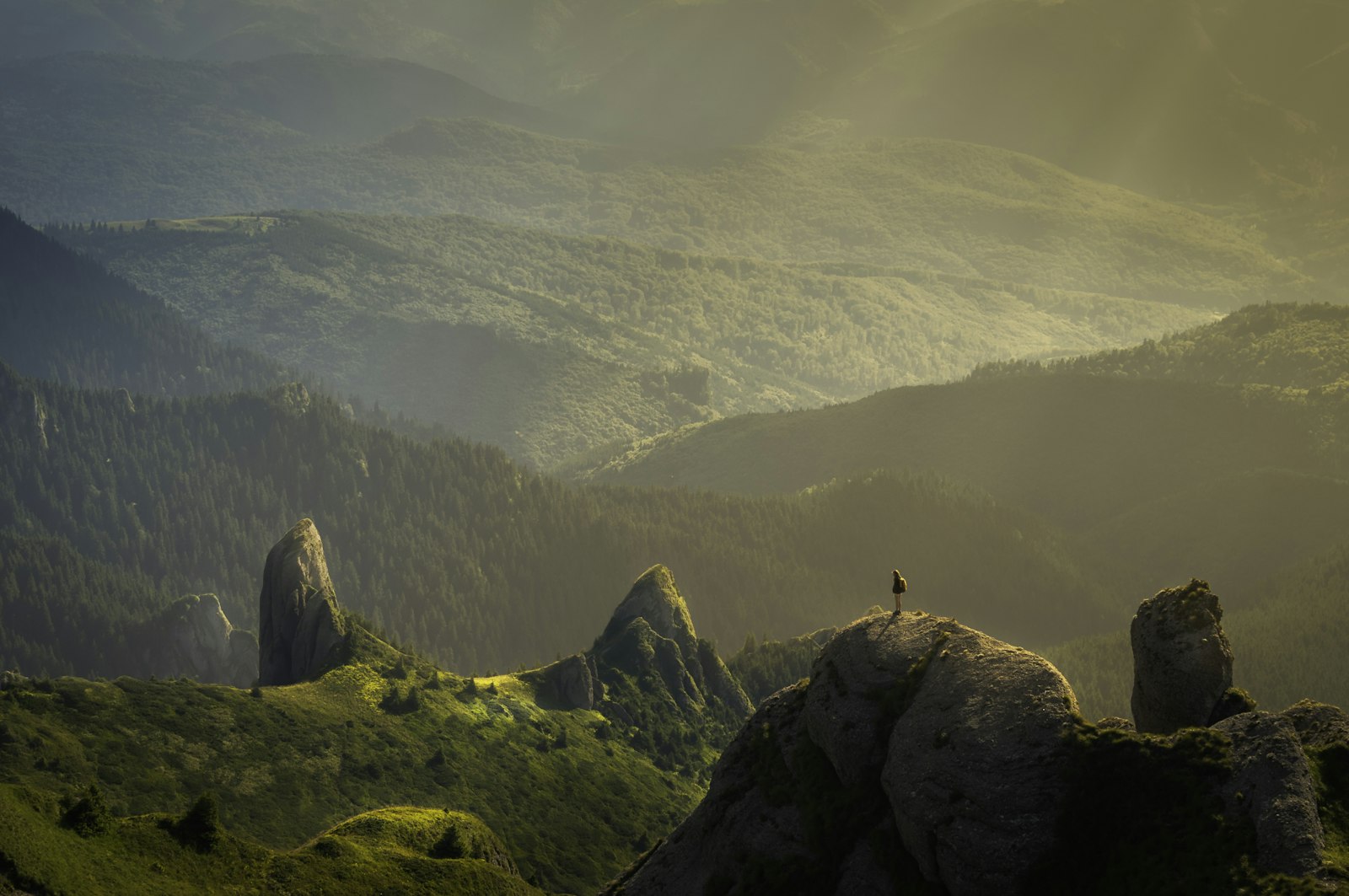 Morgenlicht über einer stillen Landschaft