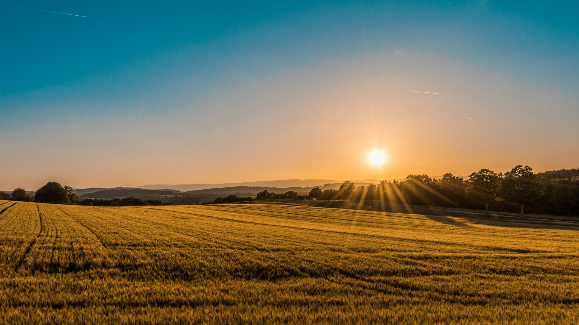 Weite Wiese im Abendlicht